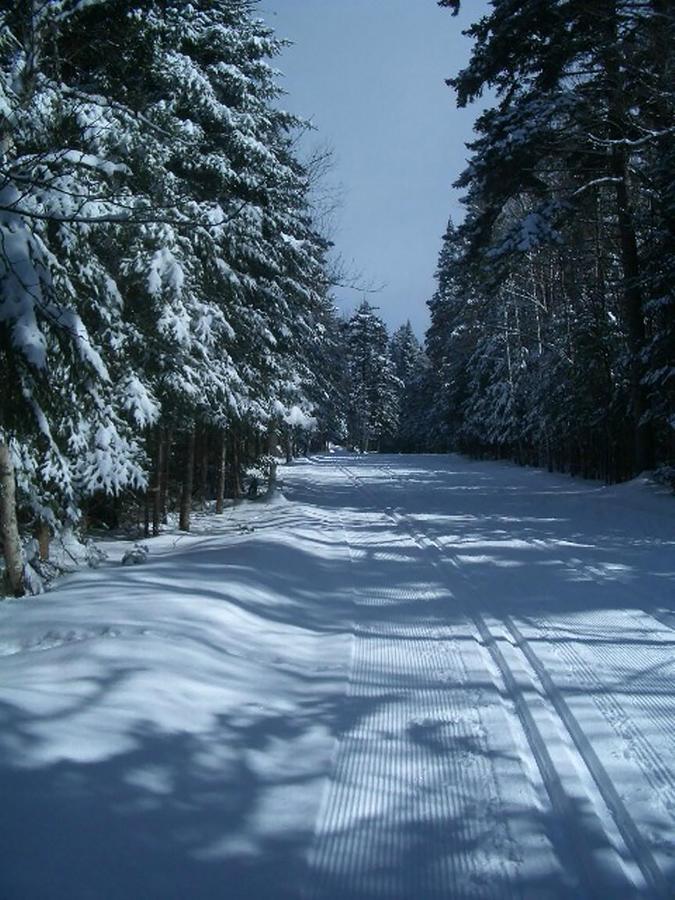 Adirondack Spruce Lodge Wilmington Esterno foto